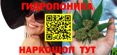 a pvp Кинель