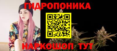 a pvp Кинель