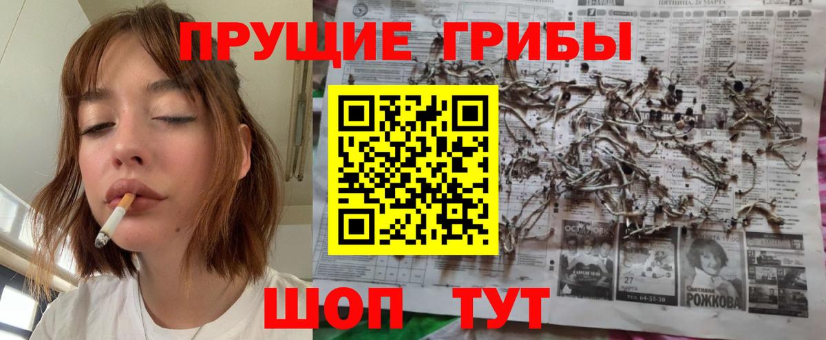 Псилоцибиновые грибы Magic Shrooms  Вход с VPN  Псилоцибиновые грибы мухоморы  где найти наркотики  Красногорск 
