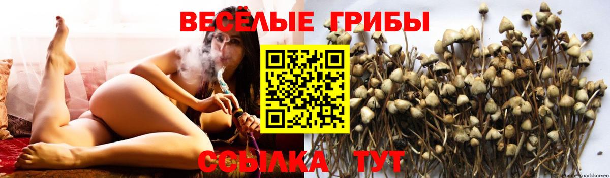 Псилоцибиновые грибы прущие грибы Красногорск